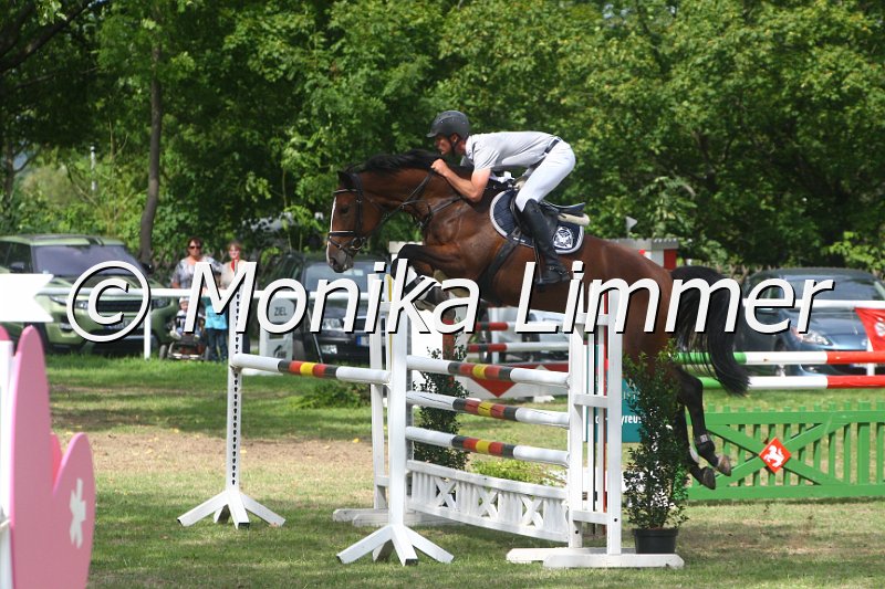 308M4948_Wild Princess_Springpferde Mx.JPG